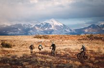 Private Group Half-Day Moab Brand Trails Guided Mountain Biking Tour