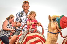 Abu Dhabi: Morning Desert Safari with Camels and Sandboarding