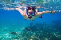 Amazing Snorkeling Experience in Cancun