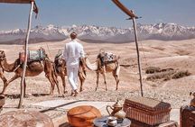 Full-Day Private Camel Ride in Agafay Desert with Lunch