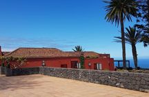Enogastronomic Tour- 4 hours in Tenerife