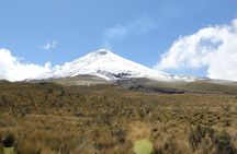 Exploring Baños and Cotopaxi Volcano in 2 Days / 1 Night