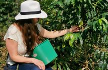 Comuna 13 & Coffee Farm Private Tour in Medellin | The Best Combo