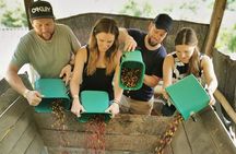 Comuna 13 & Coffee Farm Private Tour in Medellin | The Best Combo
