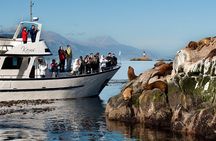 Private yacht sailing on the Beagle Channel