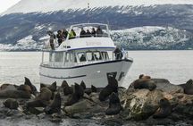 Private yacht sailing on the Beagle Channel