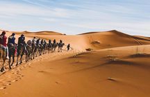 Camel Ride in Merzouga with 1 Night in Desert Camp