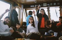 Sailing Ushuaia Beagle Channel in a yatch