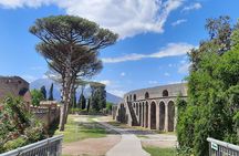 Best of Pompeii - 2 hour Private Tour with Alex