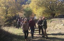 Sightseeing Zagori daily tour 