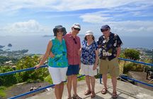 Scenic Historical Tour to Fort Charlotte and Queens drive from IV Tours