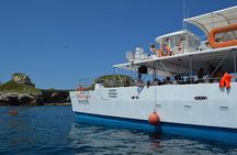 Catamaran On Islas Marietas - With Open Bar