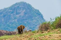 Gal Oya National Park Safari