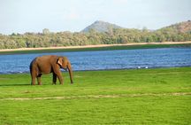 Gal Oya National Park Safari