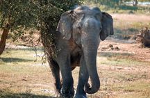 Lunugamvehera National Park Private Safari