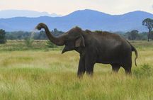 Wasgamuwa National Park Private Safari
