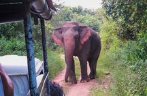 Wasgamuwa National Park Private Safari