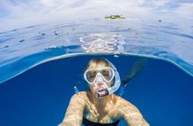 MIAMI: Key West Dolphin Watch Tour and other options