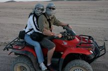 Go wild and drive quad