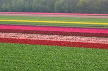 Countryside of Amsterdam Private tour