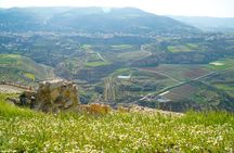 5-Night Private Magic Jordan Tour: Dead Sea, Mount Nebo, Amman, and Jerash 