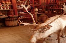 The North Cape, Reindeer and Sami Families Tour