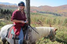 Guided Horseback Riding Adventure on the Flame Azalea Trail