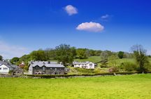 Private Tour Beatrix Potter's Favourite Lakeland Countryside