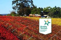Swan Valley Region Private Day Tours