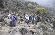 Mt. Kilimanjaro 5 Days Trek - Marangu Route