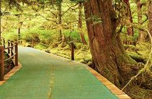 Ketchikan Shore Excursion: Silverking Lodge Adventure & Seafeast
