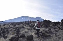 Mt. Kilimanjaro 6 Days Trek - Machame Route