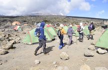 Mt. Kilimanjaro 6 Days Trek - Machame Route