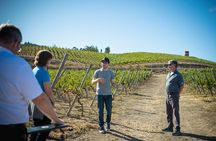 7-Days Unique Experience visiting the best Chilean & Argentinean Wine Valleys!