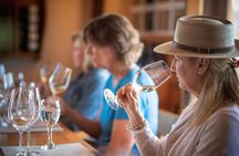 7-Days Unique Experience visiting the best Chilean & Argentinean Wine Valleys!