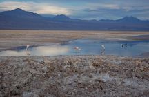 4-Days Discovery at San Pedro de Atacama