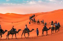 Marrakech to Merzouga 3-Days Group Desert Tour