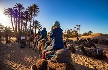Marrakech to Merzouga 3-Days Group Desert Tour