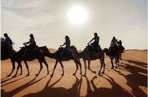 Marrakech to Merzouga 3-Days Group Desert Tour
