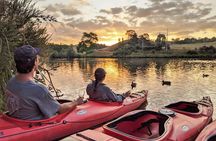 Tauranga: Evening Glowworm Kayak Tour