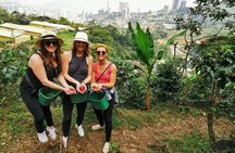 Coffee Farm & ATVs Private Tour in Medellin: Stunning Views & Fun