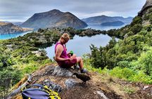 Lake Cruise & Mou Waho Island Nature Walk