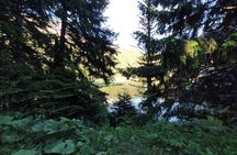 Private Horse Riding in Rhodope Mountains from Plovdiv