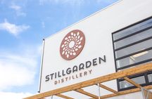 Gin School & Cocktail Masterclass in Dublin with Food