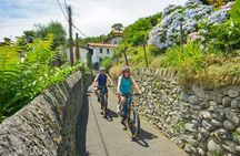 E-Bike Tour around Three Lakes and Idyllic Mountain Life