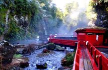 Geometric Hot Springs Private Tour from Pucon