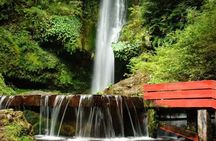 Geometric Hot Springs Private Tour from Pucon