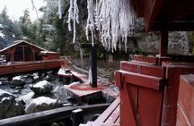 Geometric Hot Springs Private Tour from Pucon