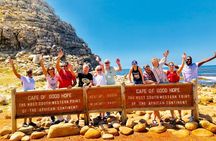 Small Group Tour Boulders Beach Penguin Colony Cape of Good Hope