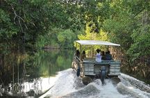 Black River Safari plus YS Falls Private Tour 